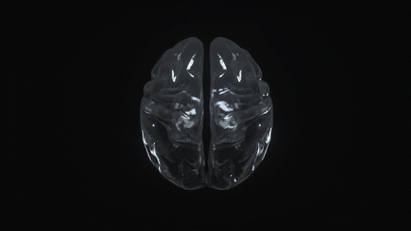 Animated 3D brain illustration
